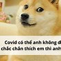 Bá Đạo Những Câu Nói Hài Hước