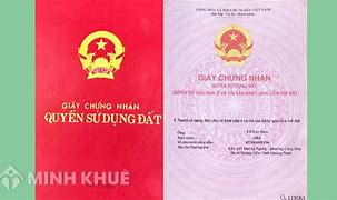 Chấn Hưng Tiếng Anh Là Gì