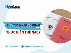 Làm Thủ Tục Nhập Khẩu Cho Con Ở Đâu