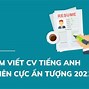 Mục Tiêu Nghề Nghiệp Của Sinh Viên Luật