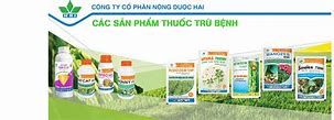 Nông Dược Hai Của Flc