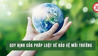 Pháp Luật Về Bảo Vệ Môi Trường Biển Việt Nam