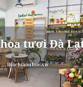 Shop Hoa Đường Nguyễn Đình Chiểu Đà Lạt